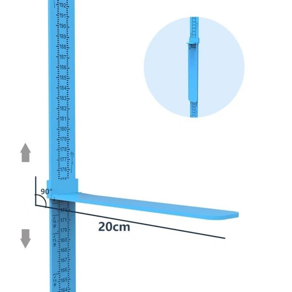 Nowa naklejka ścienna z miarką – Growth Chart Ruler recenzja i cena